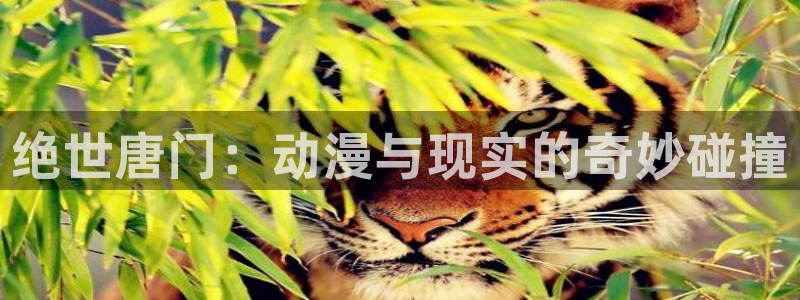 囧次元在线观看：绝世唐门：动漫与现实的奇妙碰撞