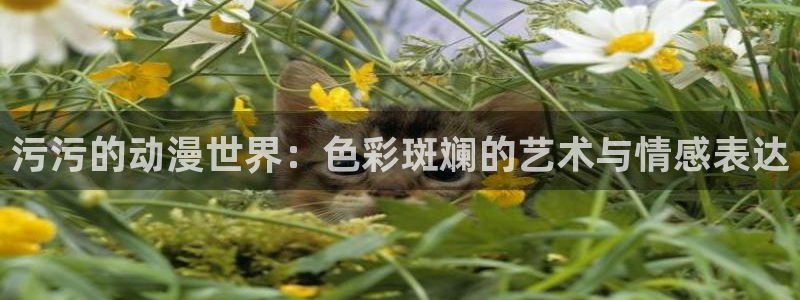囧次元app正版下载链接：污污的动漫世界：色彩斑斓的艺术与情感表达