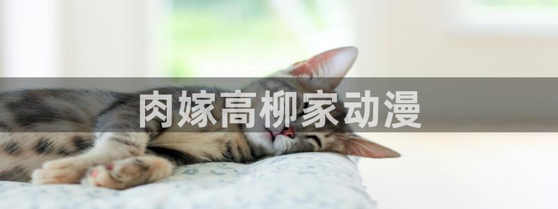 囧次元app官方正版下载：肉嫁高柳家动漫
