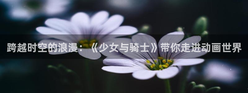 囧次元网页版入口网址：跨越时空的浪漫：《少女与骑士》带你走进动画世界