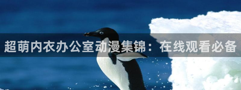 囧次元官方网站入口下载最新版本：超萌内衣办公室动漫集锦：在线观看必备