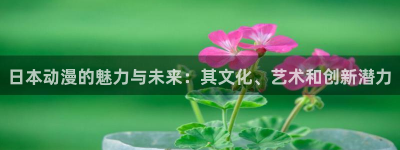 囧次元动漫官网入口下载：日本动漫的魅力与未来：其文化、艺术和创新潜力