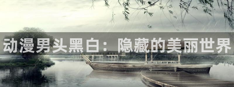 囧次元正版app下载入口：动漫男头黑白：隐藏的美丽世界