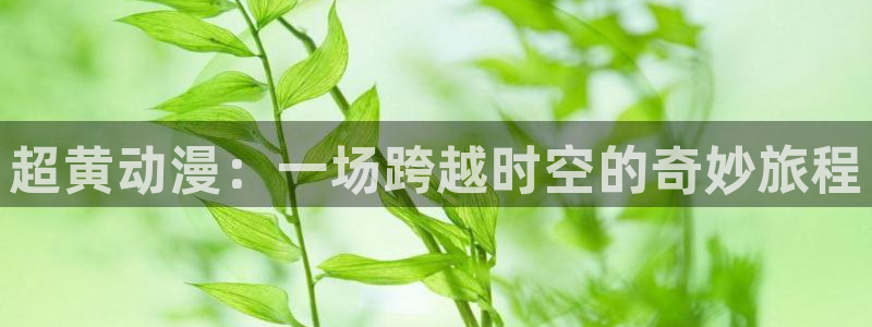 最新囧次元app下载