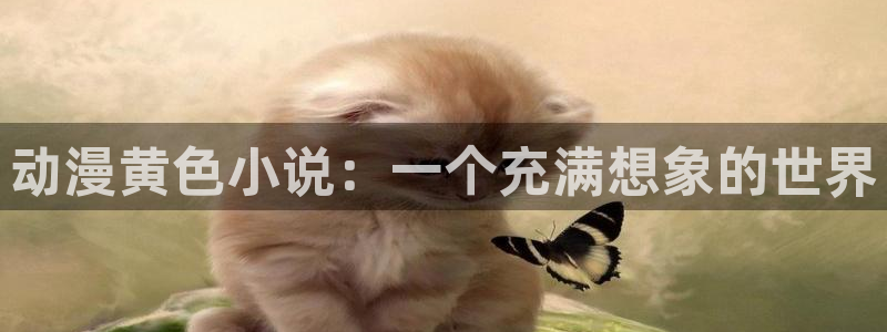 囧次元官方官网入口最新