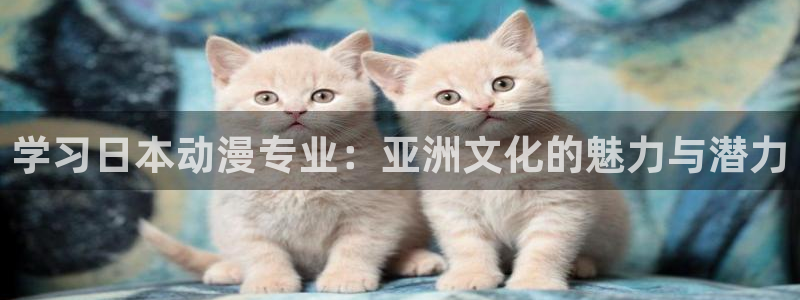 囧次元官方正版官网入口
