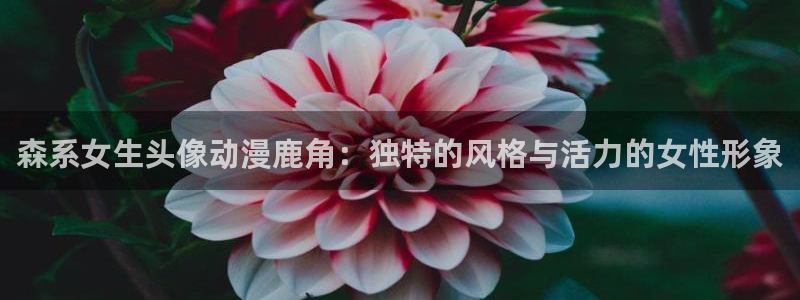 囧次元官方下载：森系女生头像动漫鹿角：独特的风格与活力的女性形象