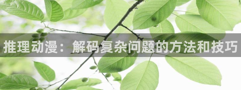 囧次元app下载官网版：推理动漫：解码复杂问题的方法和技巧