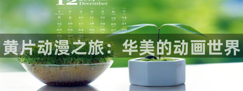 囧次元怎么登录：黄片动漫之旅：华美的动画世界