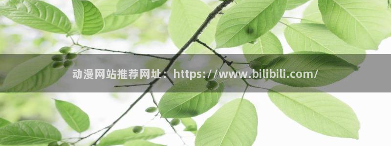 囧次元app官网：动漫网站推荐网址：https://www.bilibili.com/