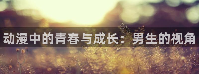 囧次元网站入口：动漫中的青春与成长：男生的视角