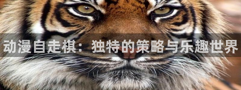 囧次元官方下载正版：动漫自走棋：独特的策略与乐趣世界