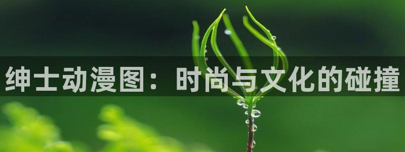囧次元正版入口：绅士动漫图：时尚与文化的碰撞