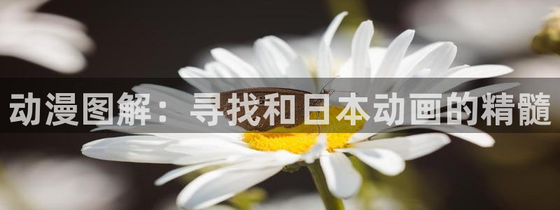 囧次元网页：动漫图解：寻找和日本动画的精髓