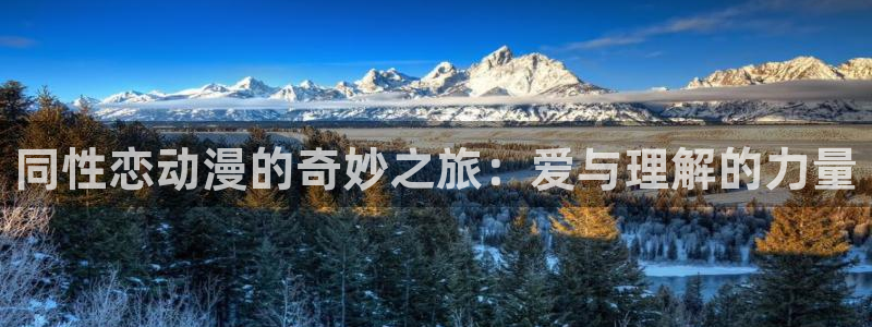 囧次元在线观看入口网址：同性恋动漫的奇妙之旅：爱与理解的力量